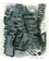 7/15-06pawp172006